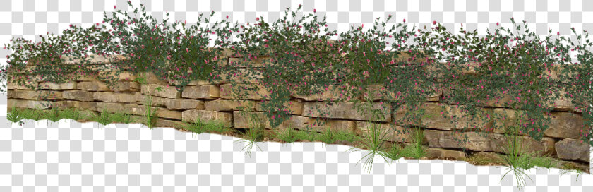 Transparent Garden Wall   Png Download   Stone Wall Garden Png  Png DownloadTransparent PNG