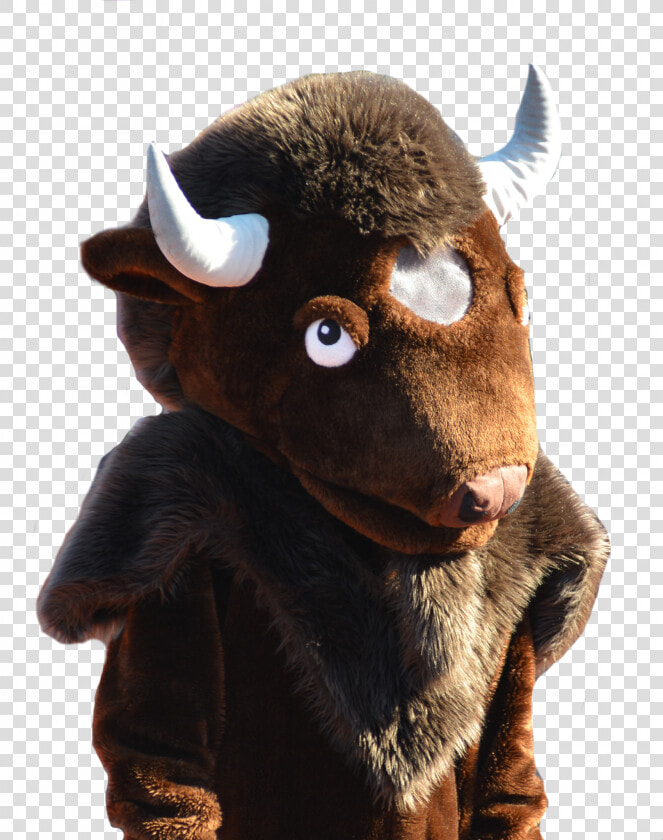 Buff The Bison Harding University  HD Png DownloadTransparent PNG