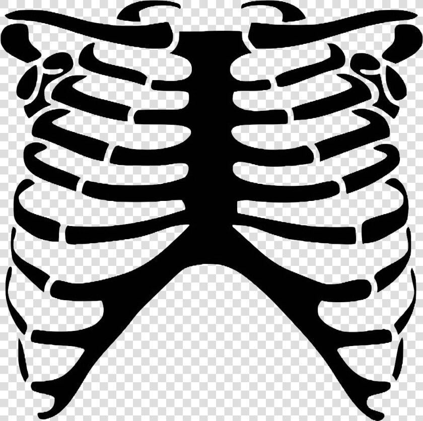 Rib Cage Human Skeleton Skull Bone   Skeleton Rib Cage Clipart  HD Png DownloadTransparent PNG