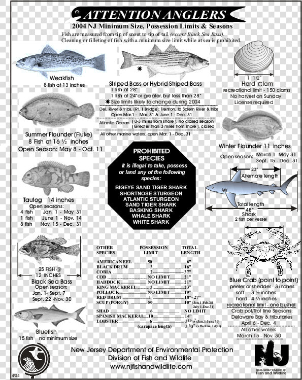 2018 Nj Fishing Regulations  HD Png DownloadTransparent PNG