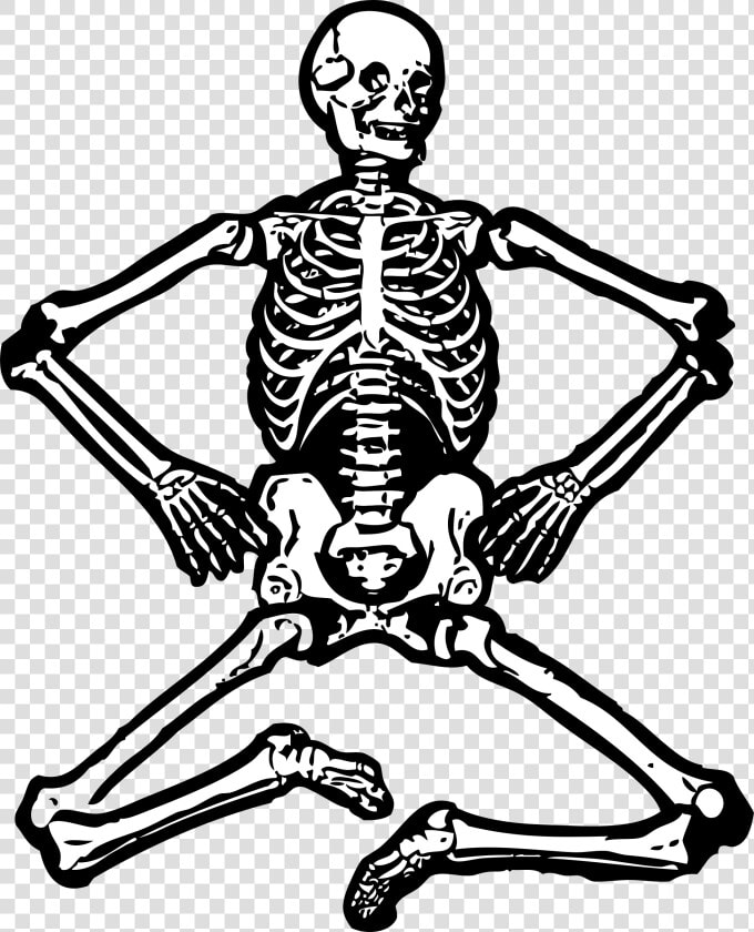 Skeleton Human Skeleton Bones Free Picture   Human Skeleton Clipart  HD Png DownloadTransparent PNG