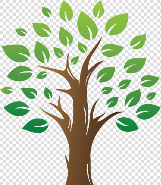 Green Tree With Leaves   Arbol Con Hojas Png  Transparent PngTransparent PNG