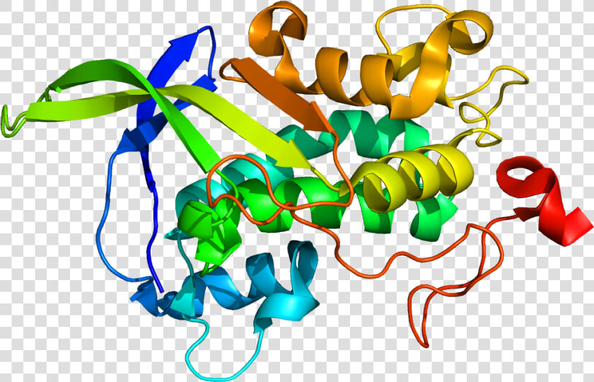 Protein Npc1 Pdb 3gkh   Npc1 Gene  HD Png DownloadTransparent PNG