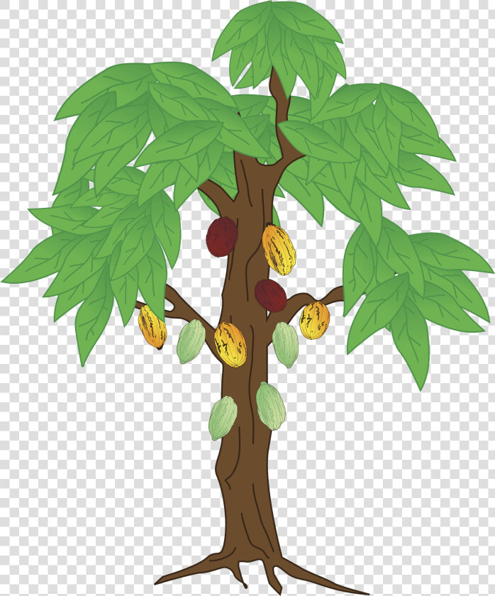 Seedling Clipart Unhealthy Plant   Cocoa Plant Animation  HD Png DownloadTransparent PNG