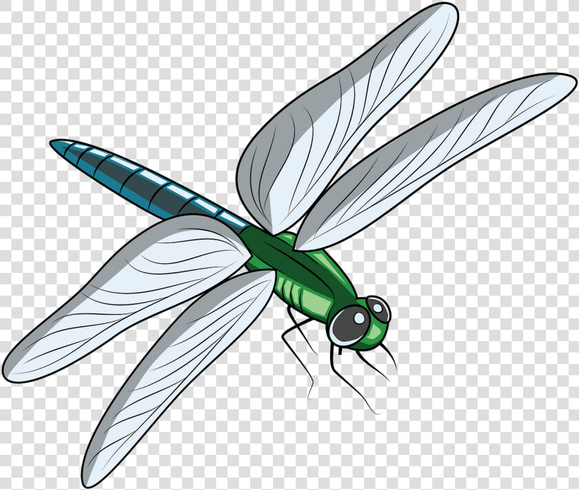 Free Download Creazilla   Dragon Fly Pond Clipart  HD Png DownloadTransparent PNG