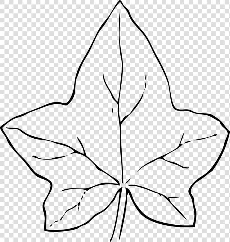 Ivy Leaf Clip Art   Clip Art Pumpkin Leaves  HD Png DownloadTransparent PNG