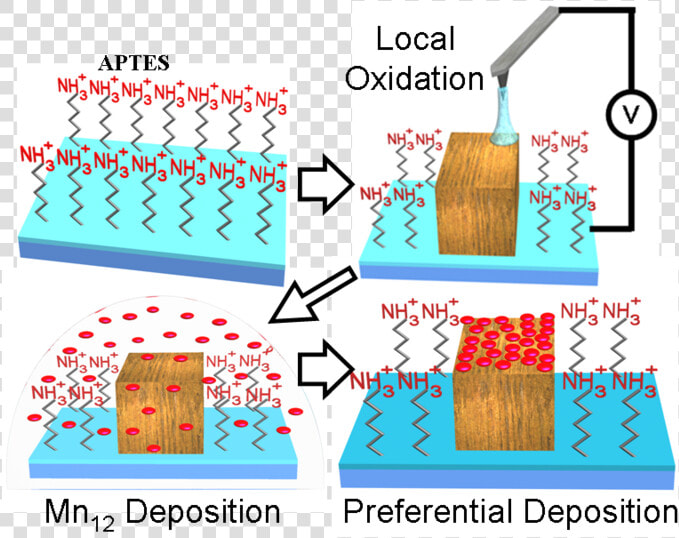 Mn12 Deposition Procedure   Deposition  HD Png DownloadTransparent PNG