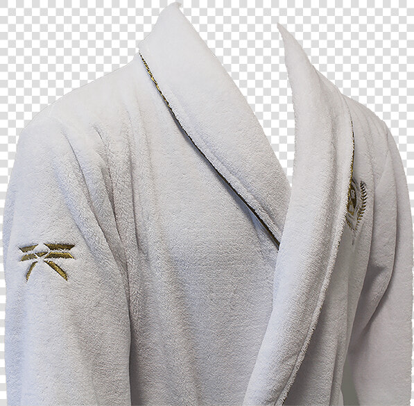 Destiny 2 Guardian Bathrobe   Hornet  HD Png DownloadTransparent PNG