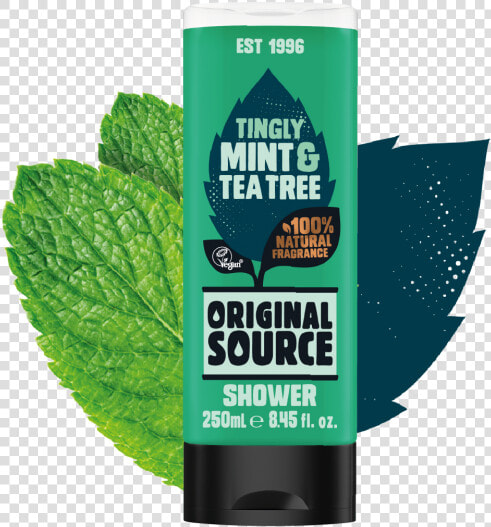 Mint  amp  Tea Tree   Original Source Shower Gel Mint  HD Png DownloadTransparent PNG