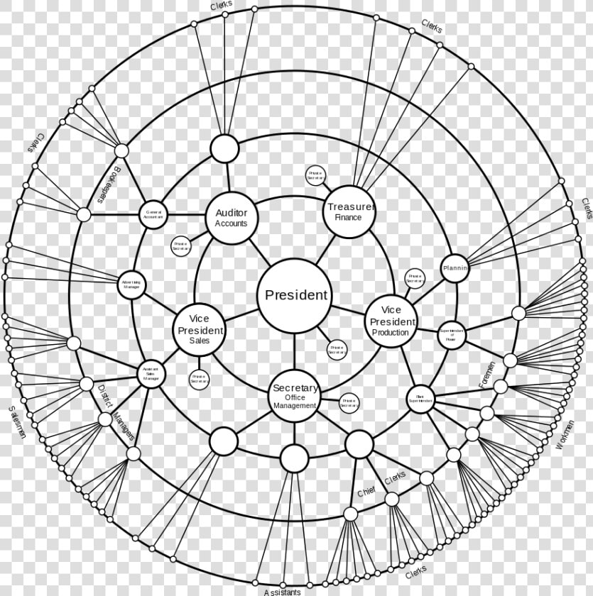 Radial Tree  HD Png DownloadTransparent PNG