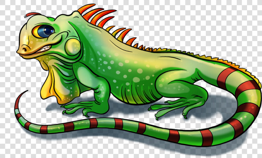 Posted By Chandrashekhar Sawarkar At   Green Iguana  HD Png DownloadTransparent PNG