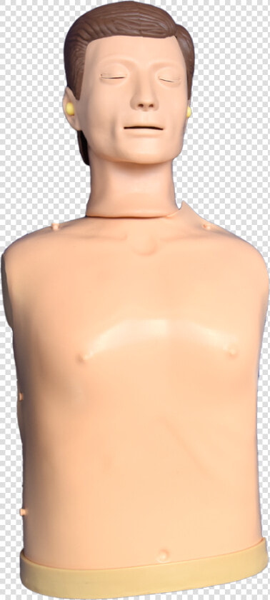 Transparent Manikin Png   Mannequin  Png DownloadTransparent PNG