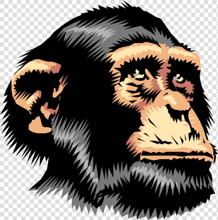 Chimpanzee   Chimp Face Cartoon  HD Png DownloadTransparent PNG