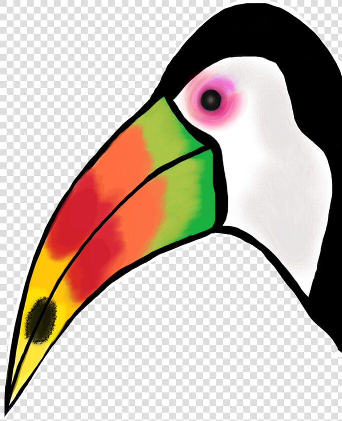 Transparent Tucan Png   Toucan  Png DownloadTransparent PNG