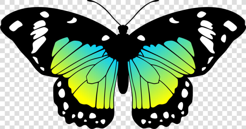 Moves Clipart Real Butterfly Pencil And In Color Moves   Butterfly Black And Pink  HD Png DownloadTransparent PNG