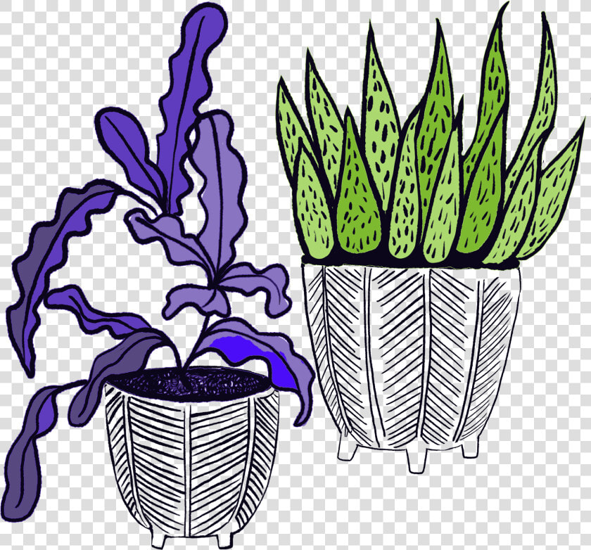 Succulents Brewery Clipart   Png Download  Transparent PngTransparent PNG