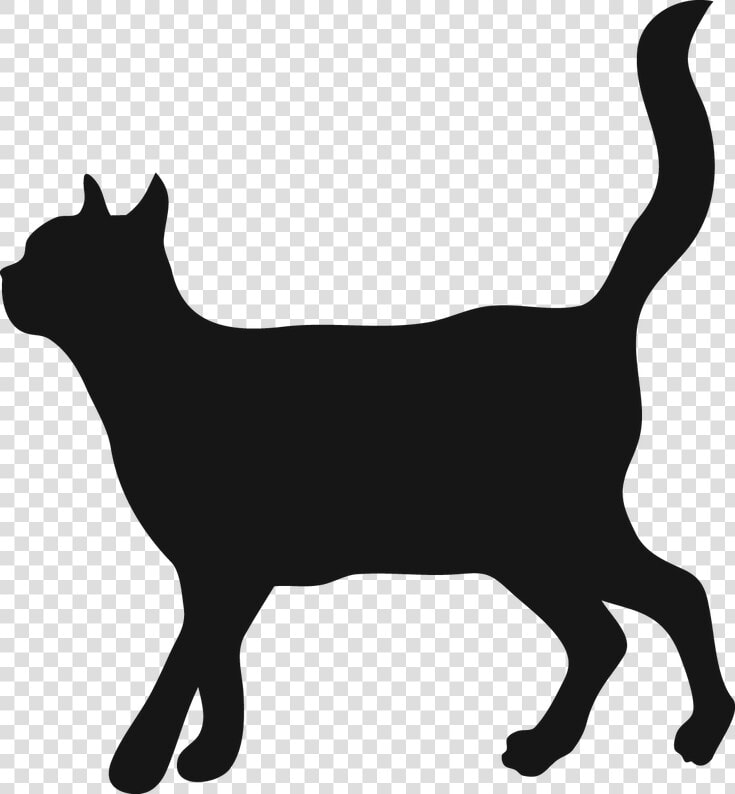 Cat Walking Clipart Banner Transparent Stock Cat Walking   Vet Çizmeli Kedi Cekmekoy  HD Png DownloadTransparent PNG