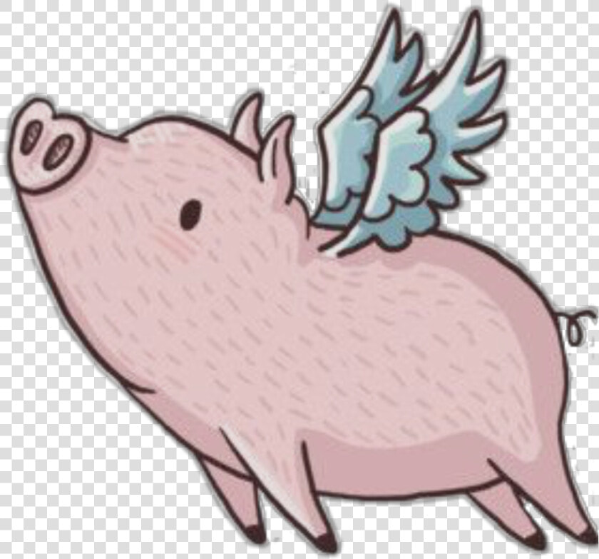  pig  flying  freetoedit   Cartoon Pig With Wings  HD Png DownloadTransparent PNG