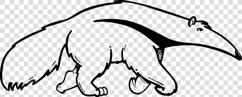 Cats Vector Cat Outline   Anteater Black And White  HD Png DownloadTransparent PNG