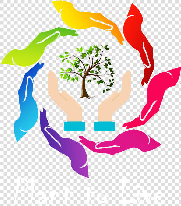 Gulmohar Tree Png  Transparent PngTransparent PNG