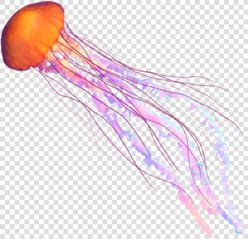 Banner Stock Anime Huge Freebie Download   Transparent Background Jellyfish Transparent  HD Png DownloadTransparent PNG