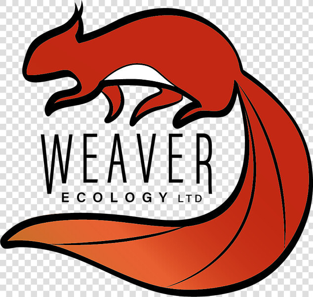 Transparent Ecology Png  Png DownloadTransparent PNG