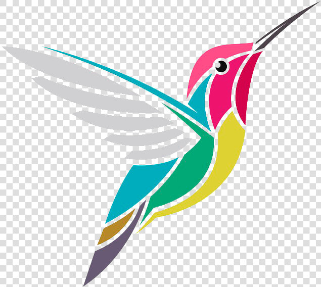 Hummingbird   Colibri Dibujo  HD Png DownloadTransparent PNG