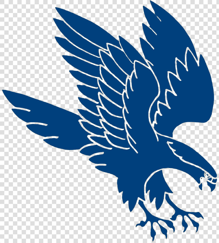 Atlanta Falcons Air Force Logo Transparent Clipart   Falcon Bird Logo Png  Png DownloadTransparent PNG