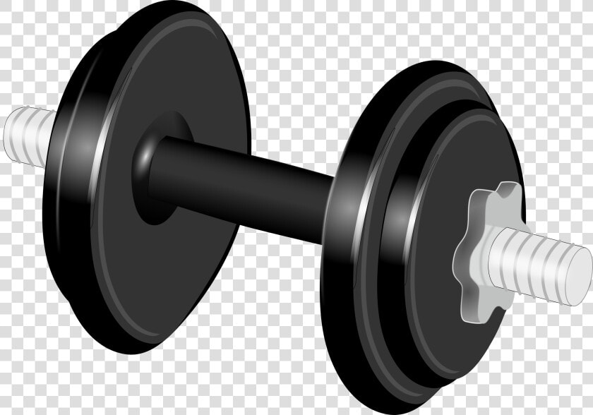 Dumbell Clip Art  HD Png DownloadTransparent PNG