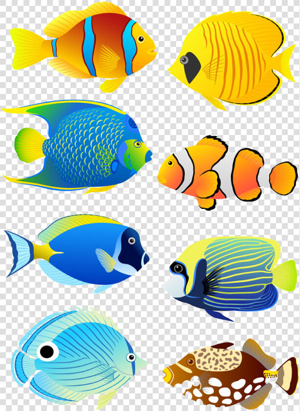 Transparent Fish Tank Clipart   Coral Reef Fish Clipart  HD Png DownloadTransparent PNG