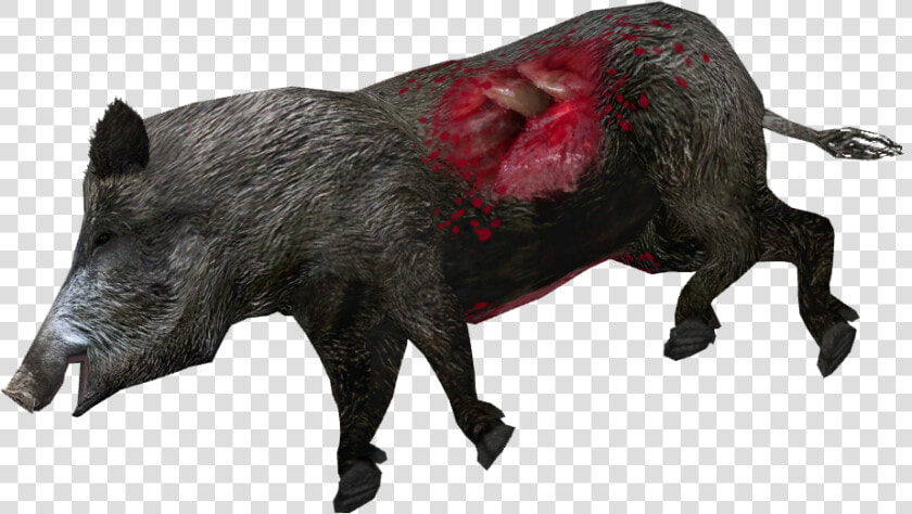 Dead Wild Boar   Png Download   Wild Boar  Transparent PngTransparent PNG