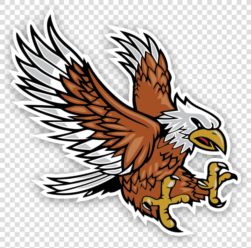 Apollo Middle School Emblem   Red tailed Hawk  HD Png DownloadTransparent PNG