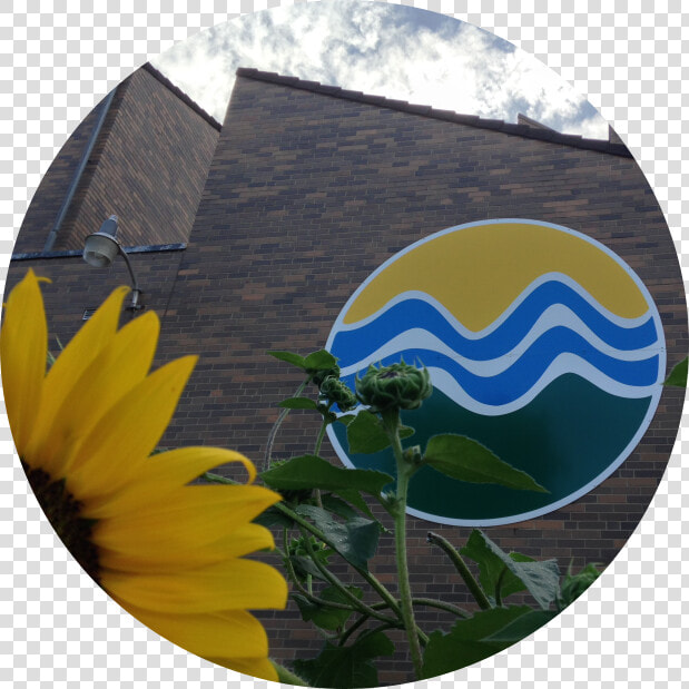 Banner Smaller Circle   Sunflower  HD Png DownloadTransparent PNG