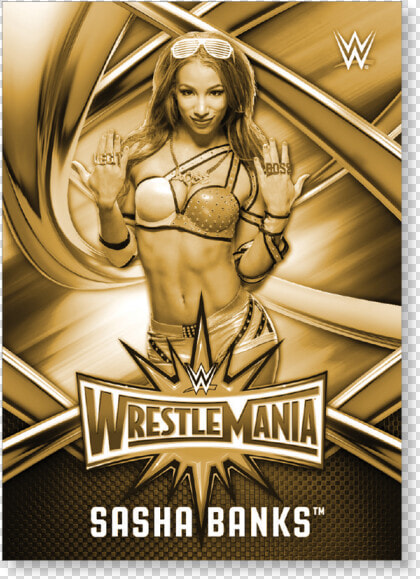 Sasha Banks Logo Png   Wwe Sin Cara Png 2019  Transparent PngTransparent PNG