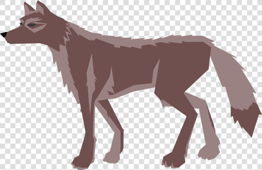 Wildlife carnivoran red Fox   Transparent Wolf Animated Png  Png DownloadTransparent PNG