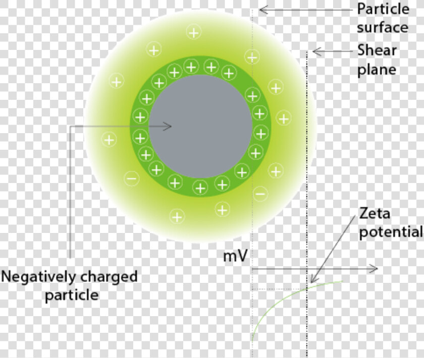 Limit Of Zeta Potential  HD Png DownloadTransparent PNG