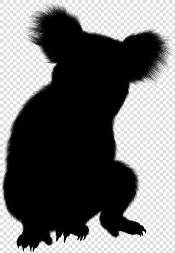 Koala Png Image Clipart   Koala  Transparent PngTransparent PNG