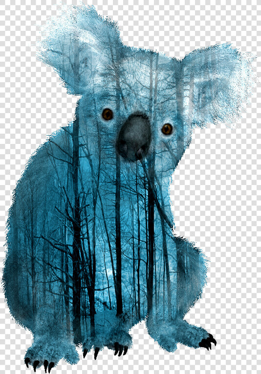 Transparent Koalas Clipart   Transparent Background Koala Png  Png DownloadTransparent PNG