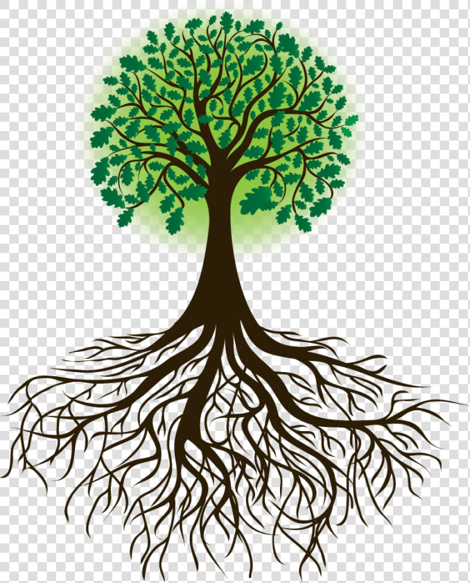 Arbol Raices Borges   Transparent Tree Of Life  HD Png DownloadTransparent PNG