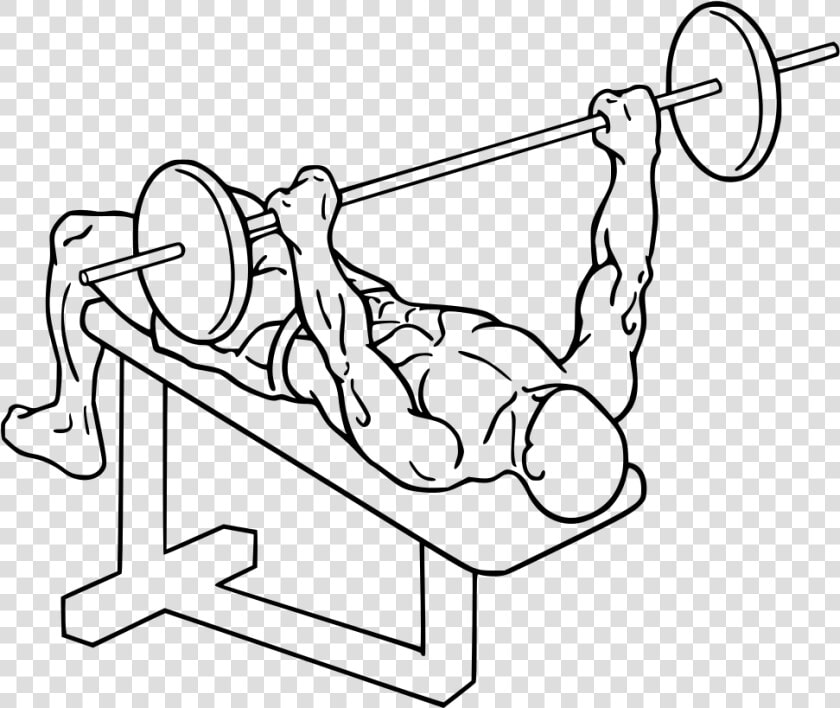 Decline Barbell Bench Press   Decline Bench Press Gif  HD Png DownloadTransparent PNG