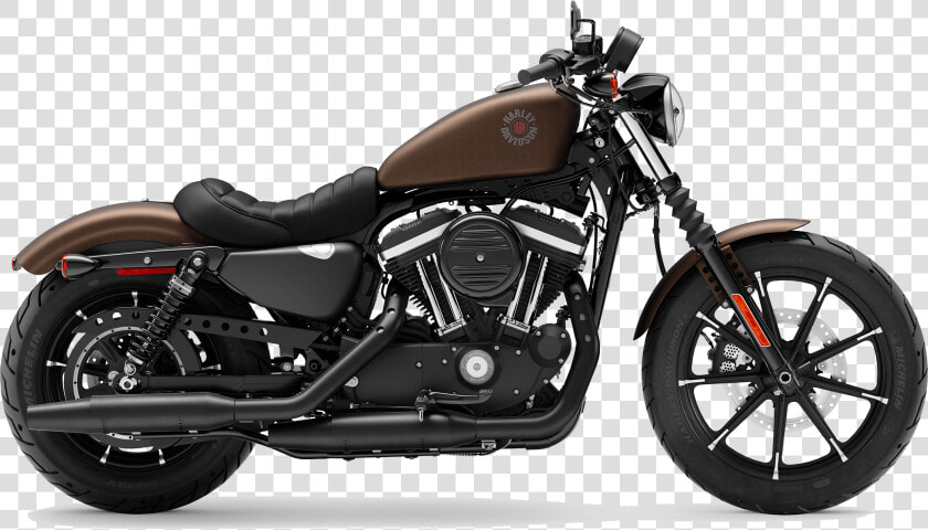 2019 Harley Davidson H D Sportster® Iron 883 Rawhide   2017 Harley 883 Iron  HD Png DownloadTransparent PNG