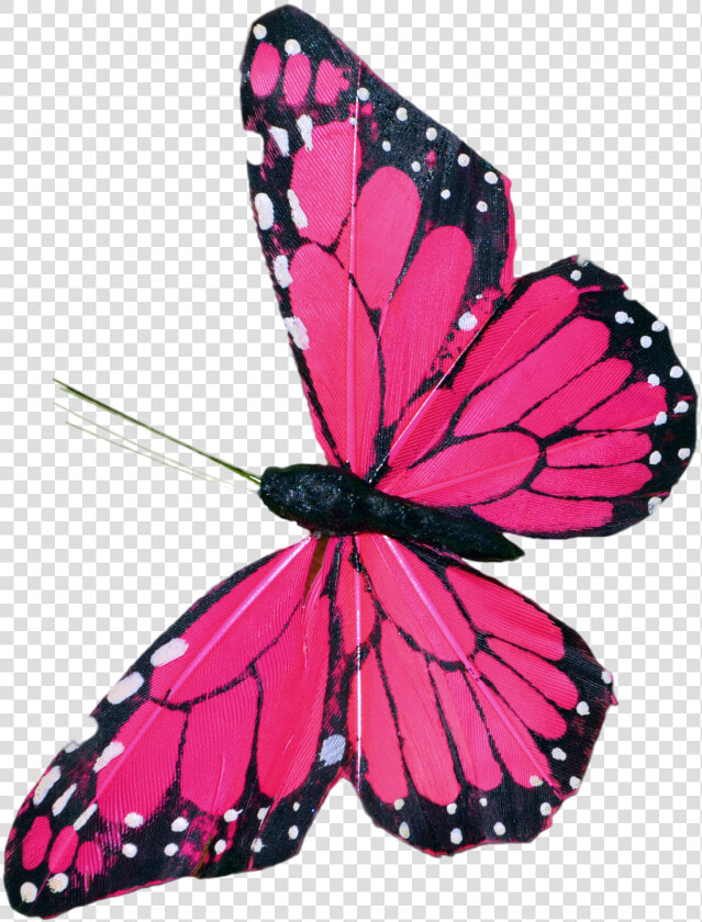 Pink Butterfly Clip Art   Pink Butterfly Flying Png  Transparent PngTransparent PNG