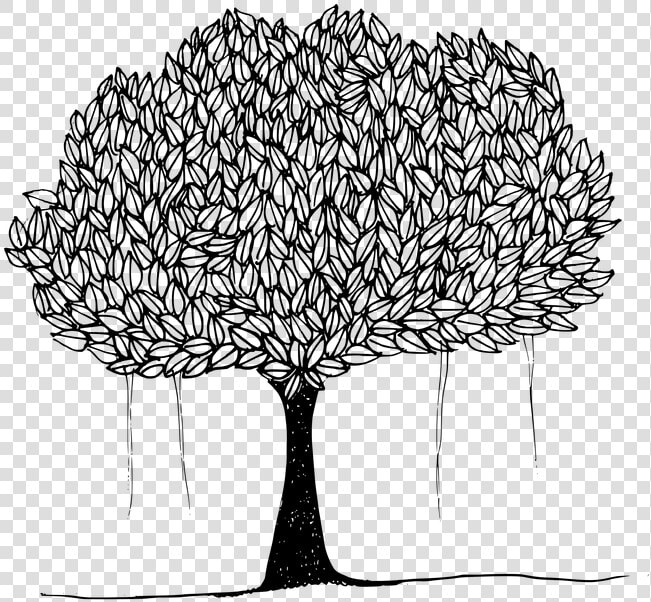 Black And White Picture Of Banyan Tree   Drawing Of Peepal Tree  HD Png DownloadTransparent PNG