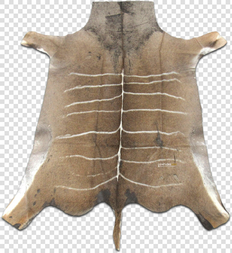 African Kudu Skin Antelope Buck Skin Similar To Cowhide   Wool  HD Png DownloadTransparent PNG