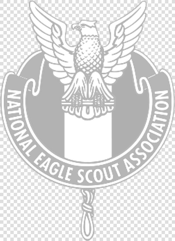 Eagle Scout Logo   Png Download   National Eagle Scout Association Logo  Transparent PngTransparent PNG