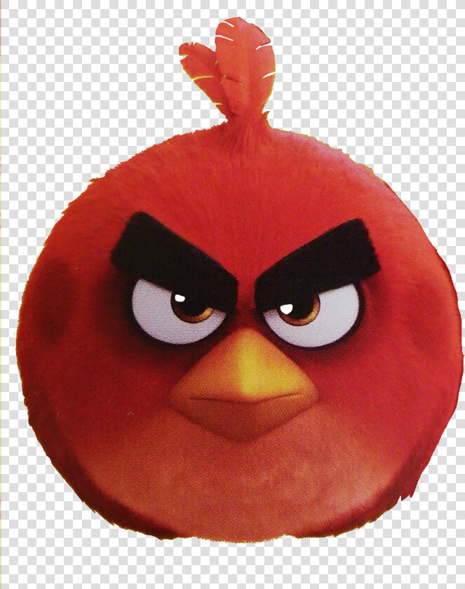 Angry Birds Wiki   Angry Birds  HD Png DownloadTransparent PNG