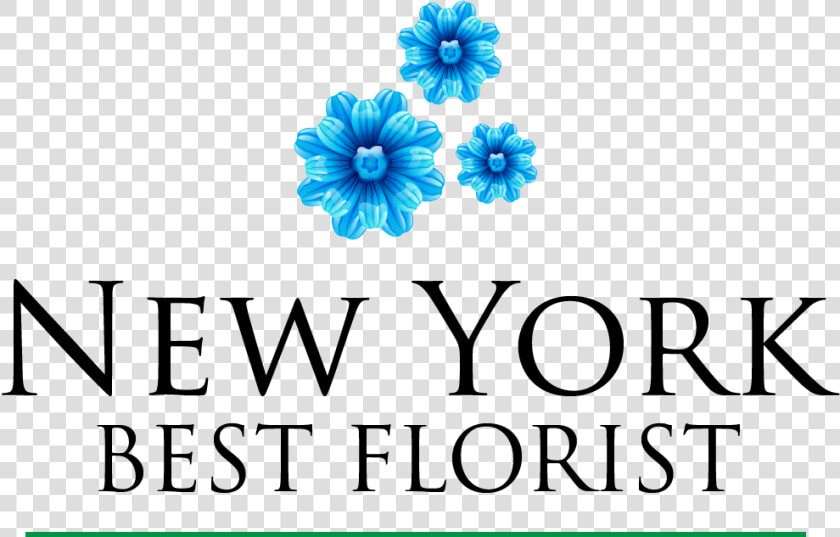 New York Best Florist   Centro De Enseñanza Técnica Y Superior  HD Png DownloadTransparent PNG