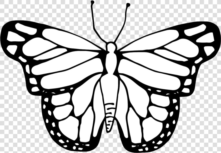 Butterfly Clipart Coloring Worksheets Transparent Png   Clipart Image Of A Butterfly  Png DownloadTransparent PNG