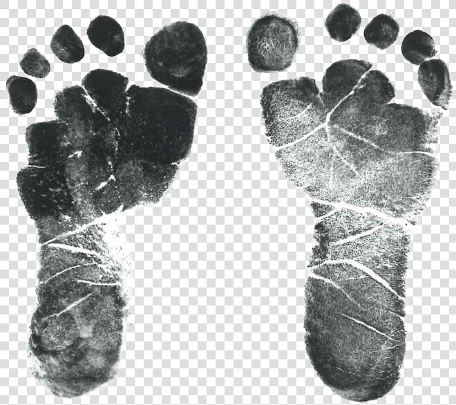 Baby Feet Png Transparent   Baby Footprints Transparent Background  Png DownloadTransparent PNG