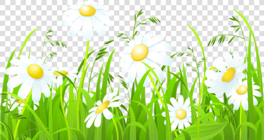 Free Png Download White Flowers And Grass Transparent   Grass Border Design Clipart  Png DownloadTransparent PNG